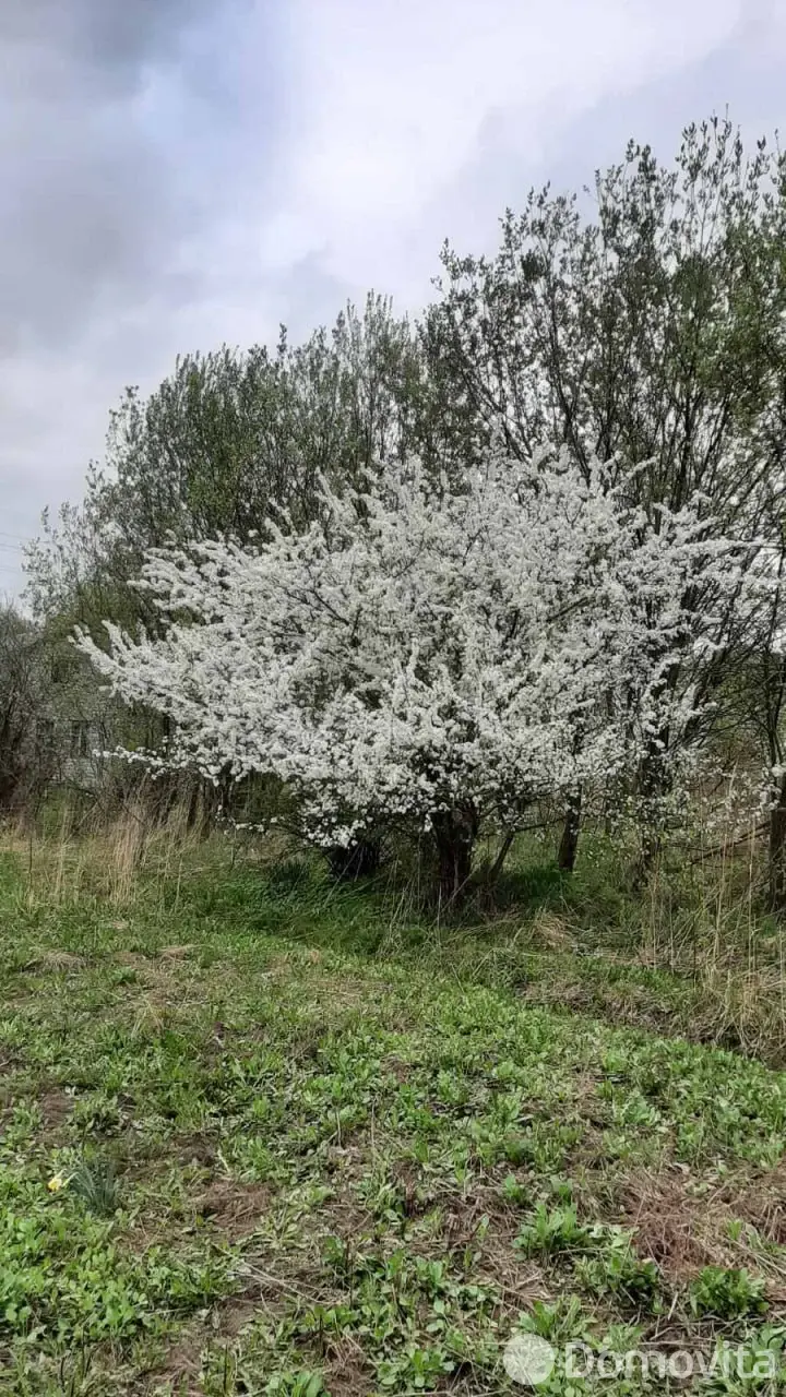 Цена продажи дачи, Дричин, 