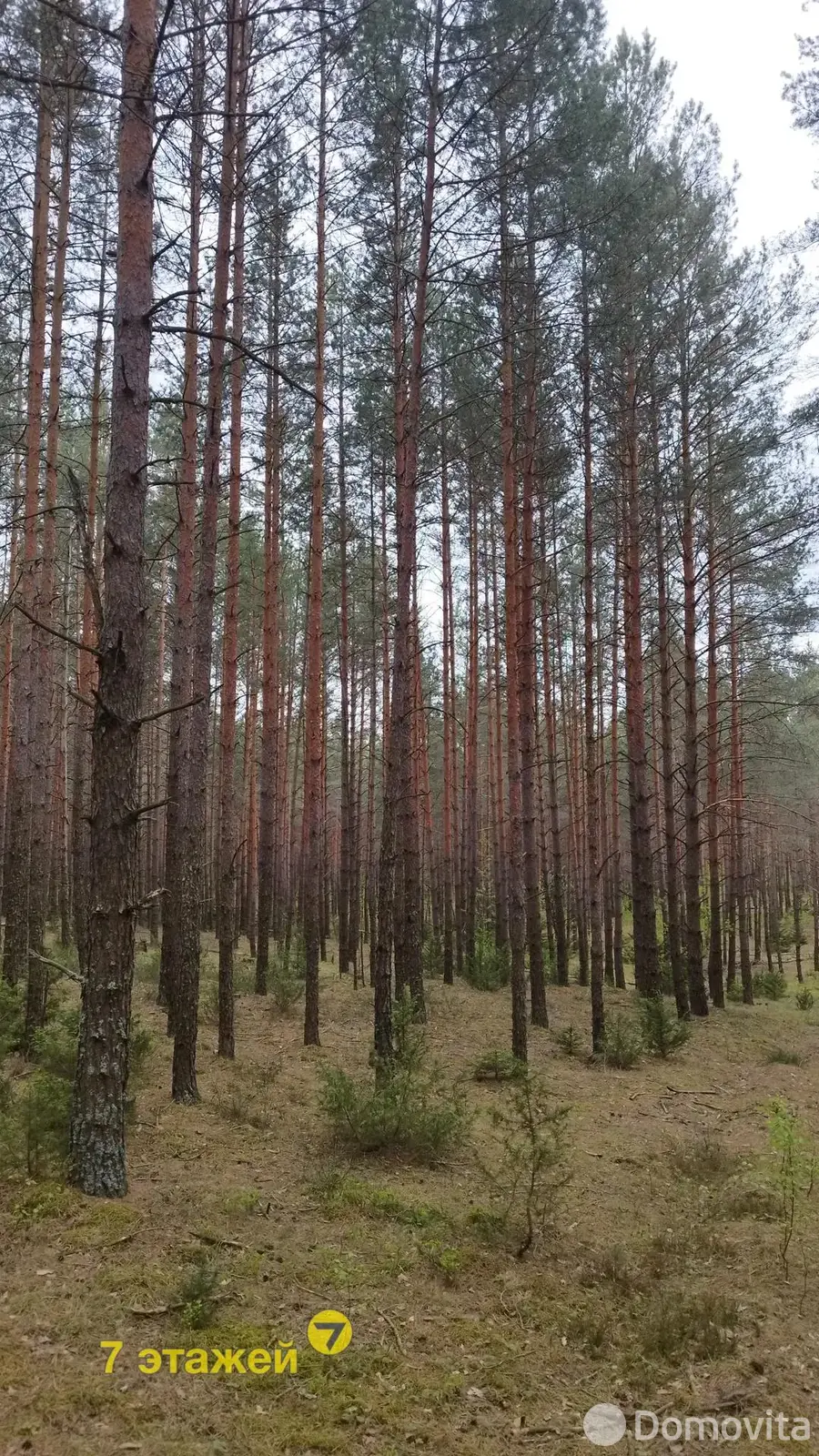 Продажа 2-этажной дачи в Строитель-35 Минская область, 11900USD, код 182703 - фото 16