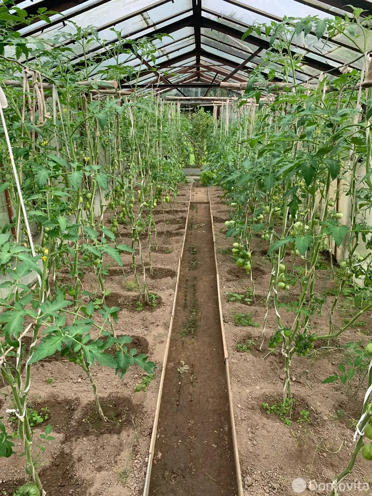 дача, СЯБРЫ-83, 