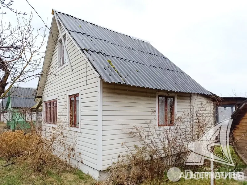 Купить 1-этажную дачу в Здоровье 2008 Брестская область, 15500USD, код 185353 - фото 4