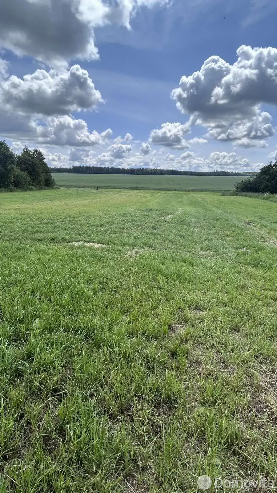 дом, Иваново, ул. Лесная 