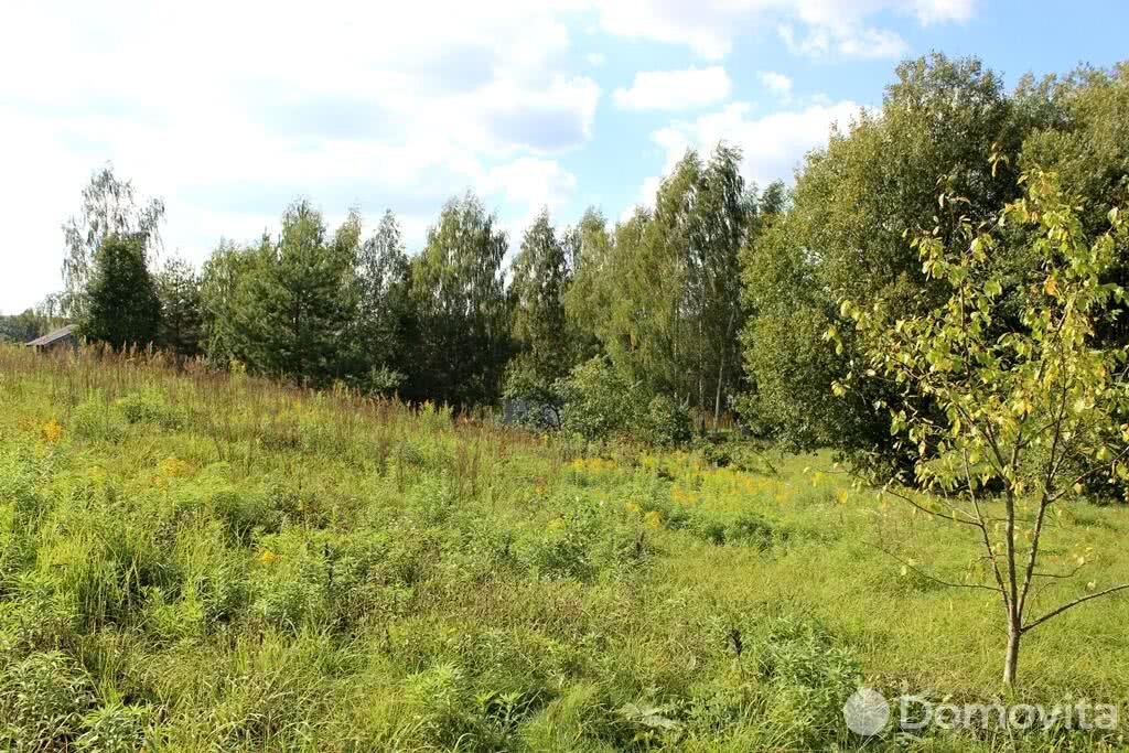 Купить земельный участок, 10 соток, АгроБелОИ-1, Минская область, 4950USD, код 566353 - фото 4