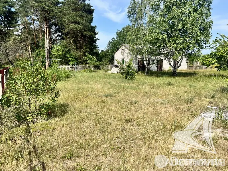 Цена продажи коттеджа, Томашовка, 