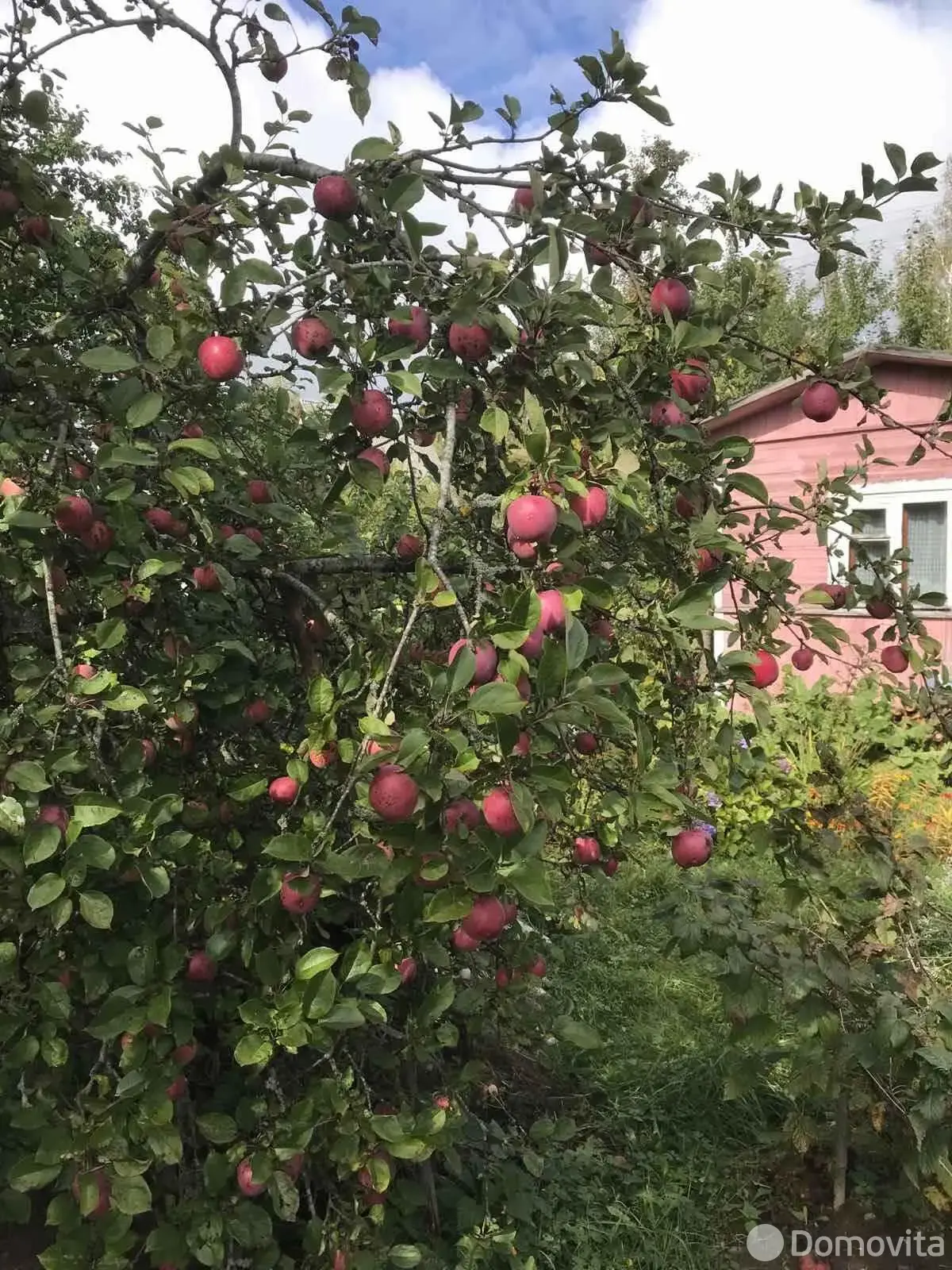 продажа участка, Электрон-89, 