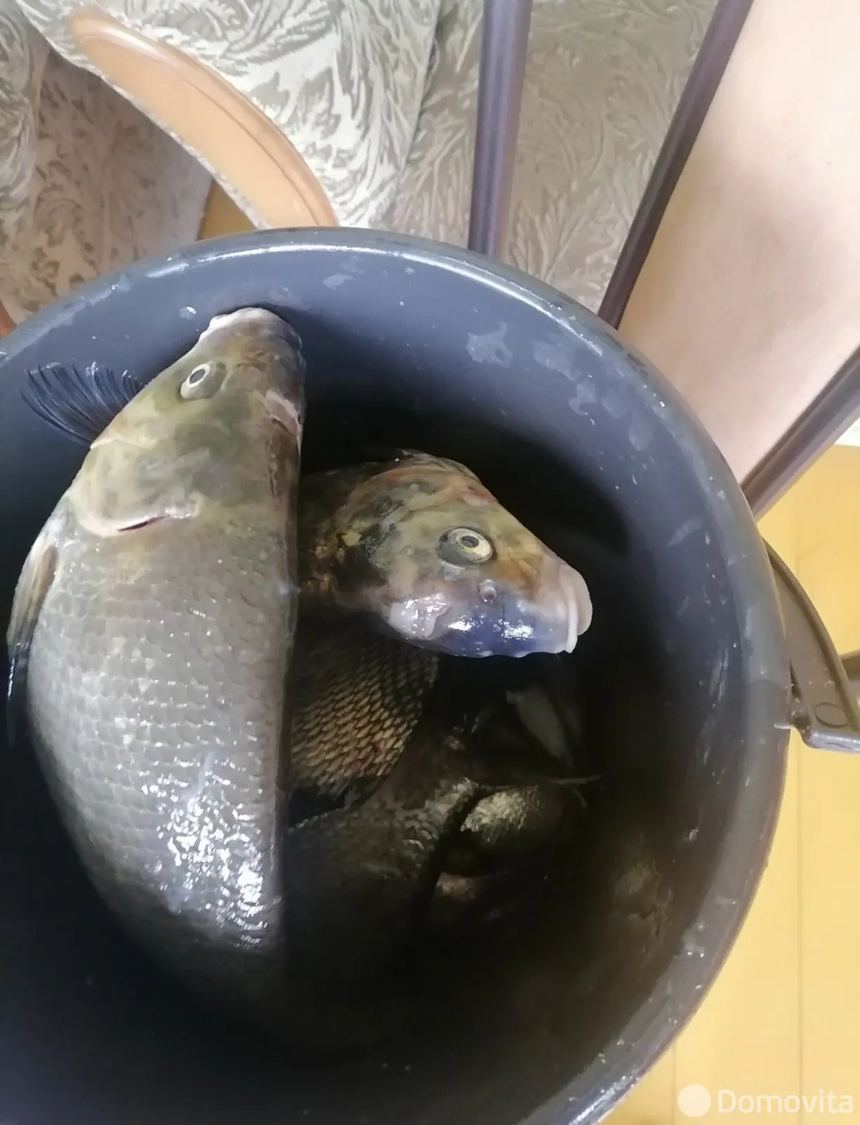 дача, Железняки, от собственника