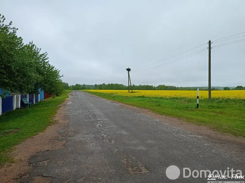 дом, Великие Нестановичи, ул. Садовая