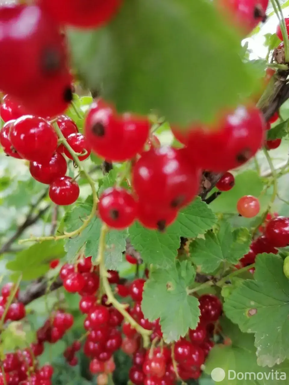 продажа коттеджа, Пытьковка, ул. Дорожная, д. 18