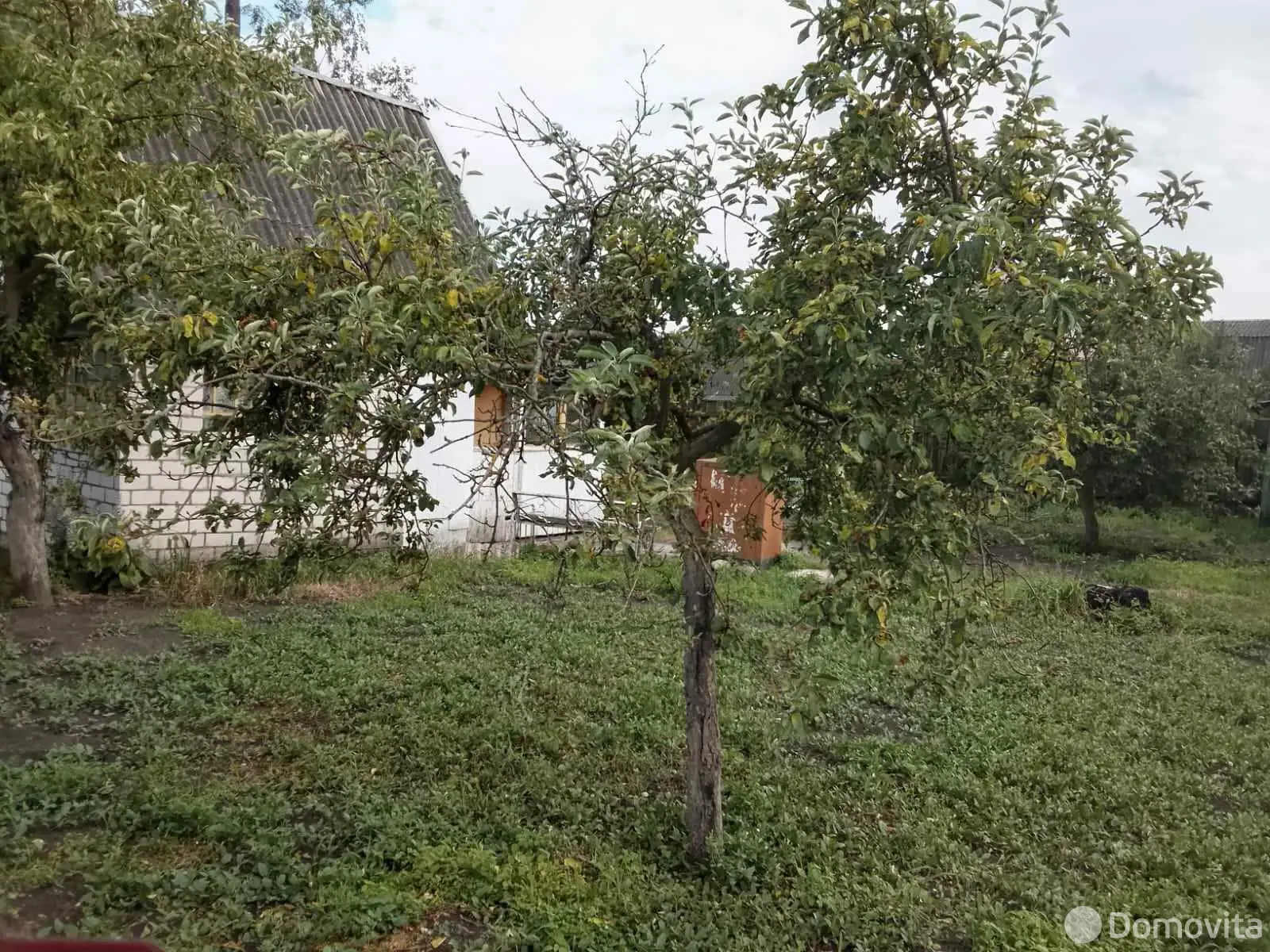 дача, Ромашка, - лучшее предложение