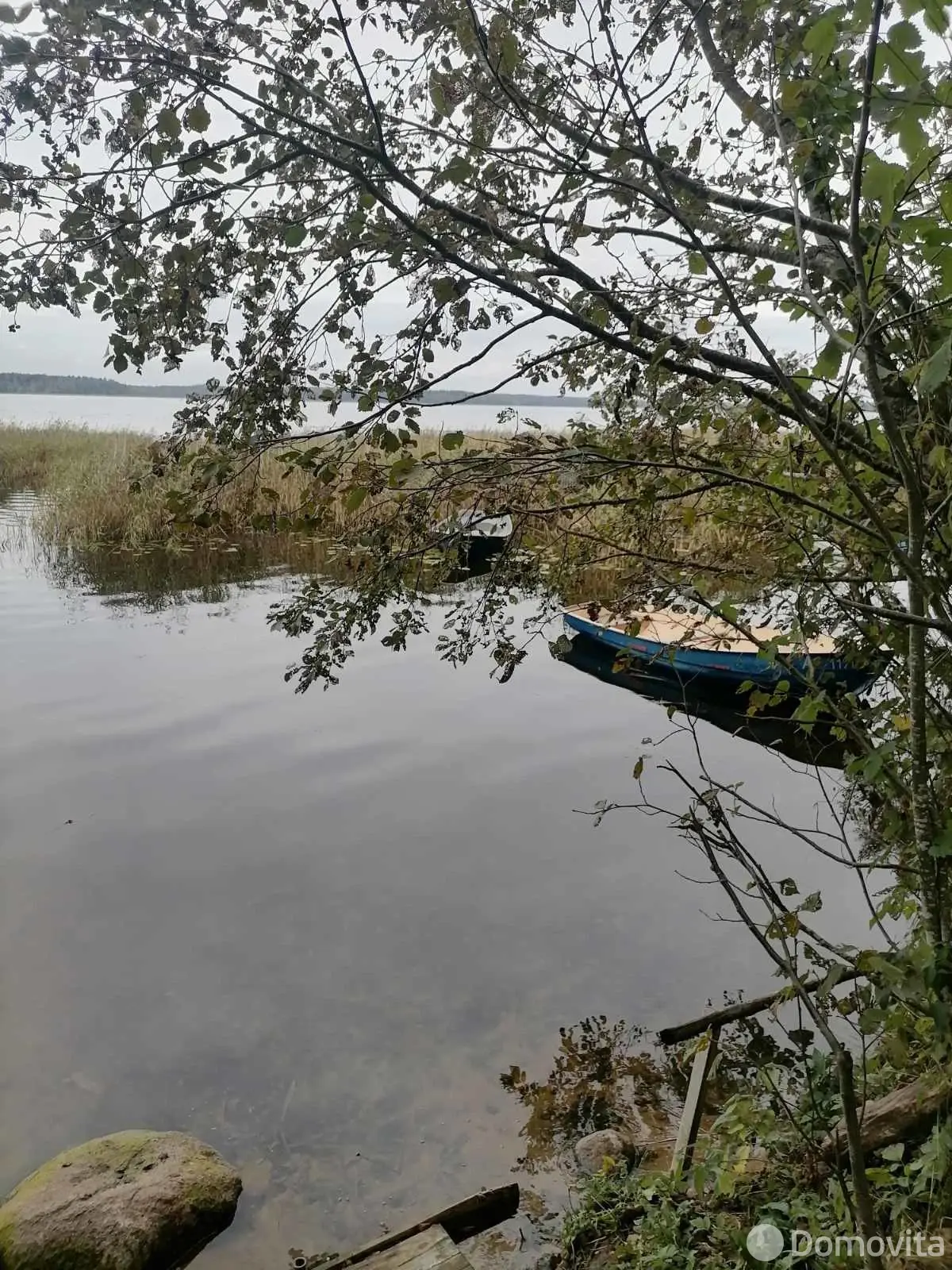 дача, Лосвидо,