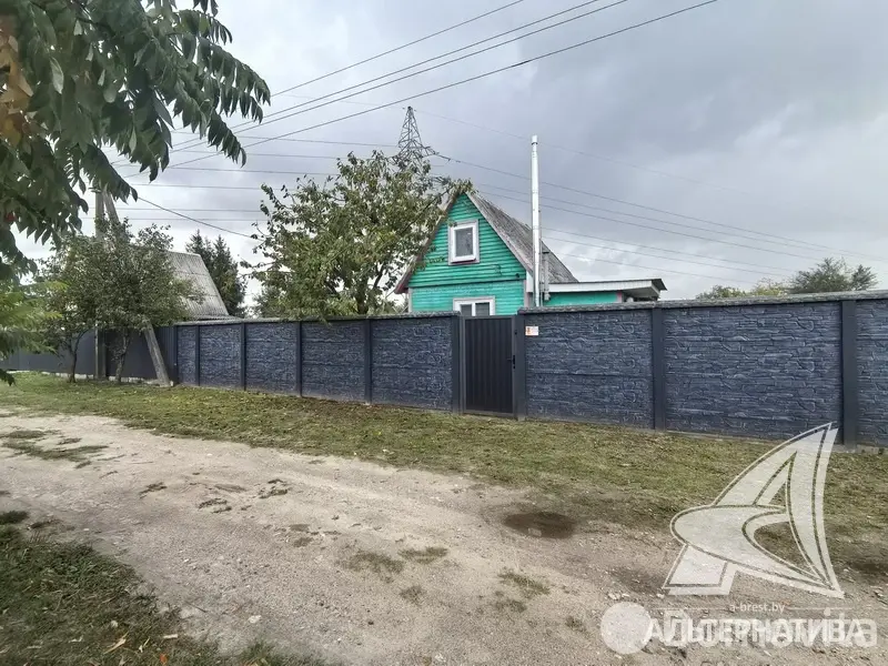 дача, Суница-80, 