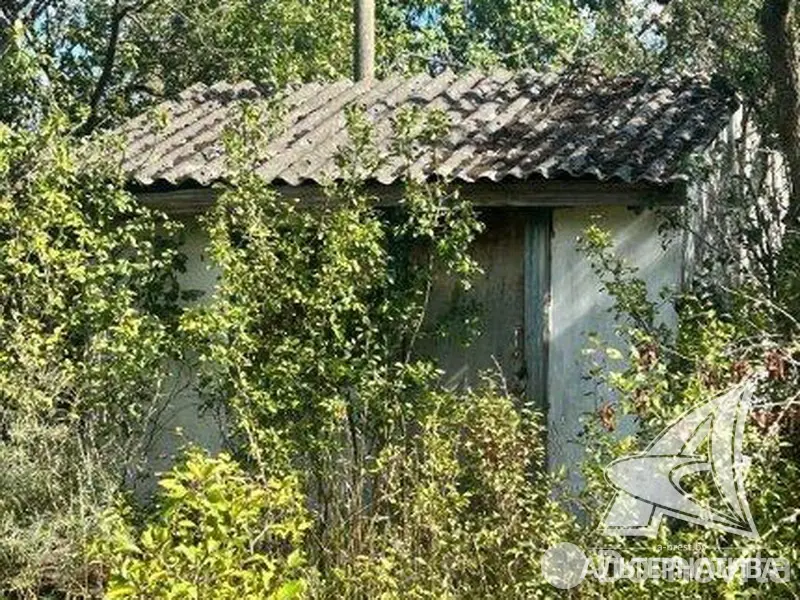 коттедж, Подлесье-Каменецкое, 