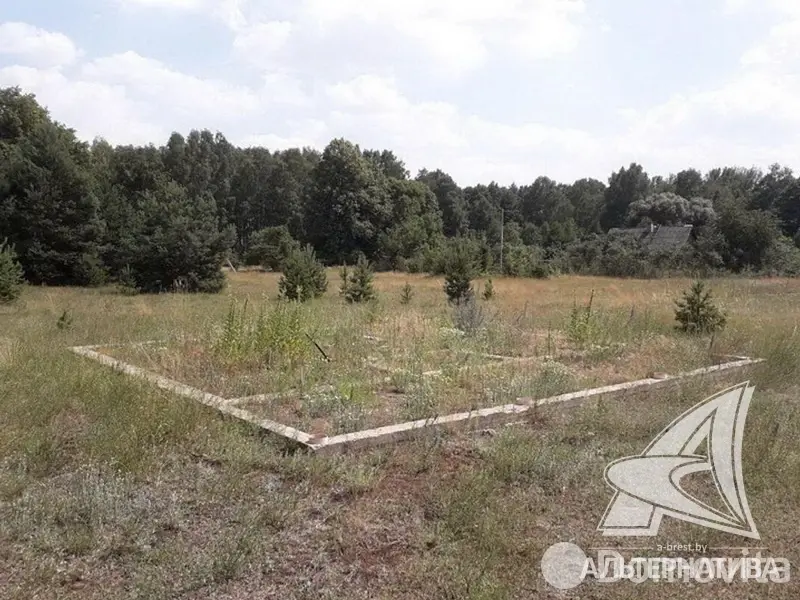 дом, Домачево, , стоимость продажи 31 996 р.