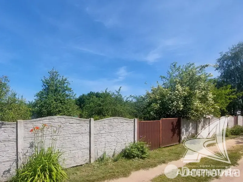 дача, Транспортник-91, 