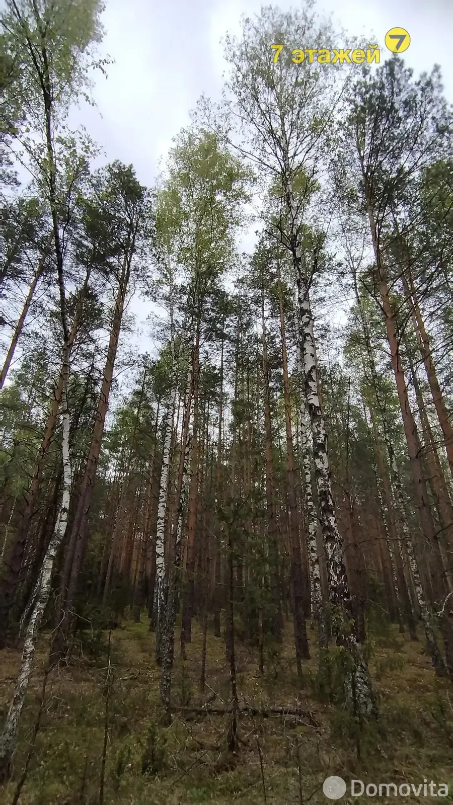 Продажа 2-этажной дачи в Строитель-35 Минская область, 11900USD, код 182703 - фото 17