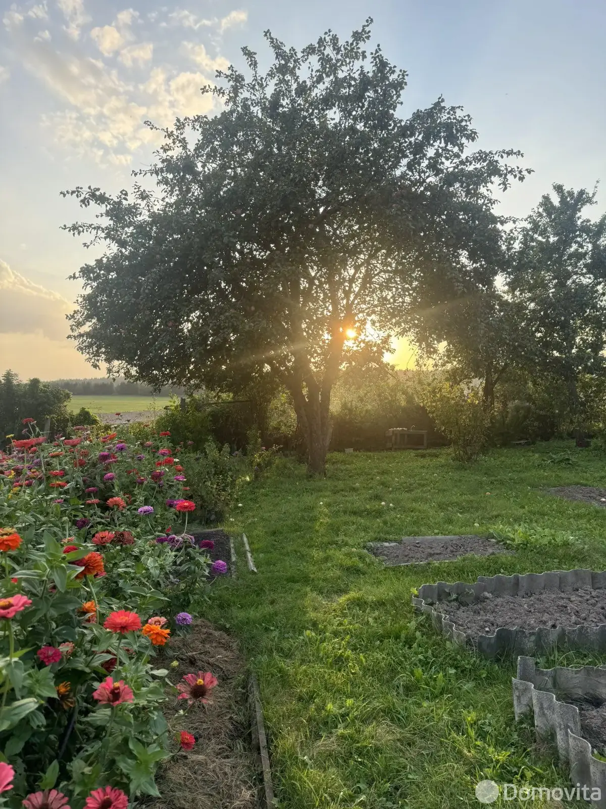 купить дачу, СИГНАЛ-2,