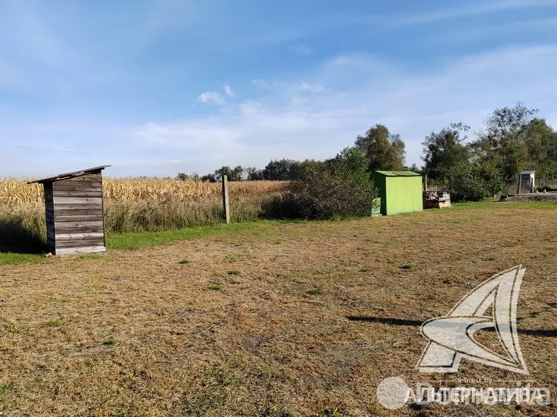 участок, Березка,