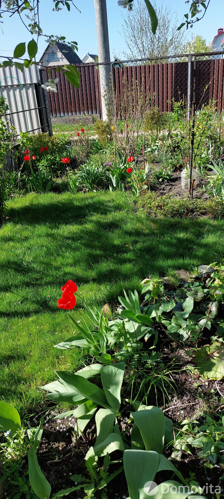 Купить 2-этажную дачу в Солигорске Минская область, 6900USD, код 182565 - фото 16