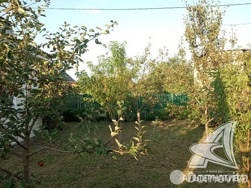 Купить 2-этажную дачу в Строитель Брестская область, 24000USD, код 179851 - фото 24