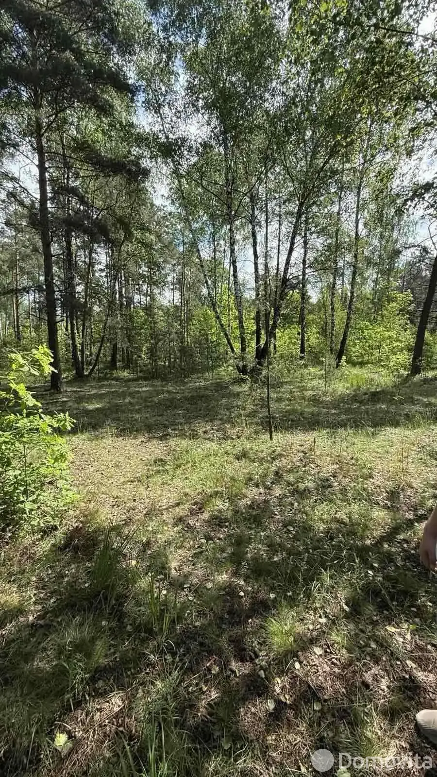 Купить 2-этажную дачу в Связист Минская область, 15000USD, код 183634 - фото 22