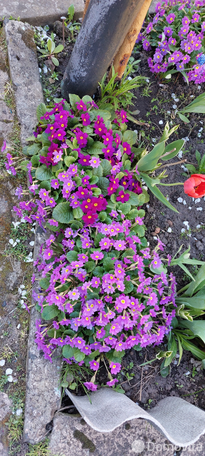 Купить 2-этажную дачу в Солигорске Минская область, 6900USD, код 182565 - фото 12