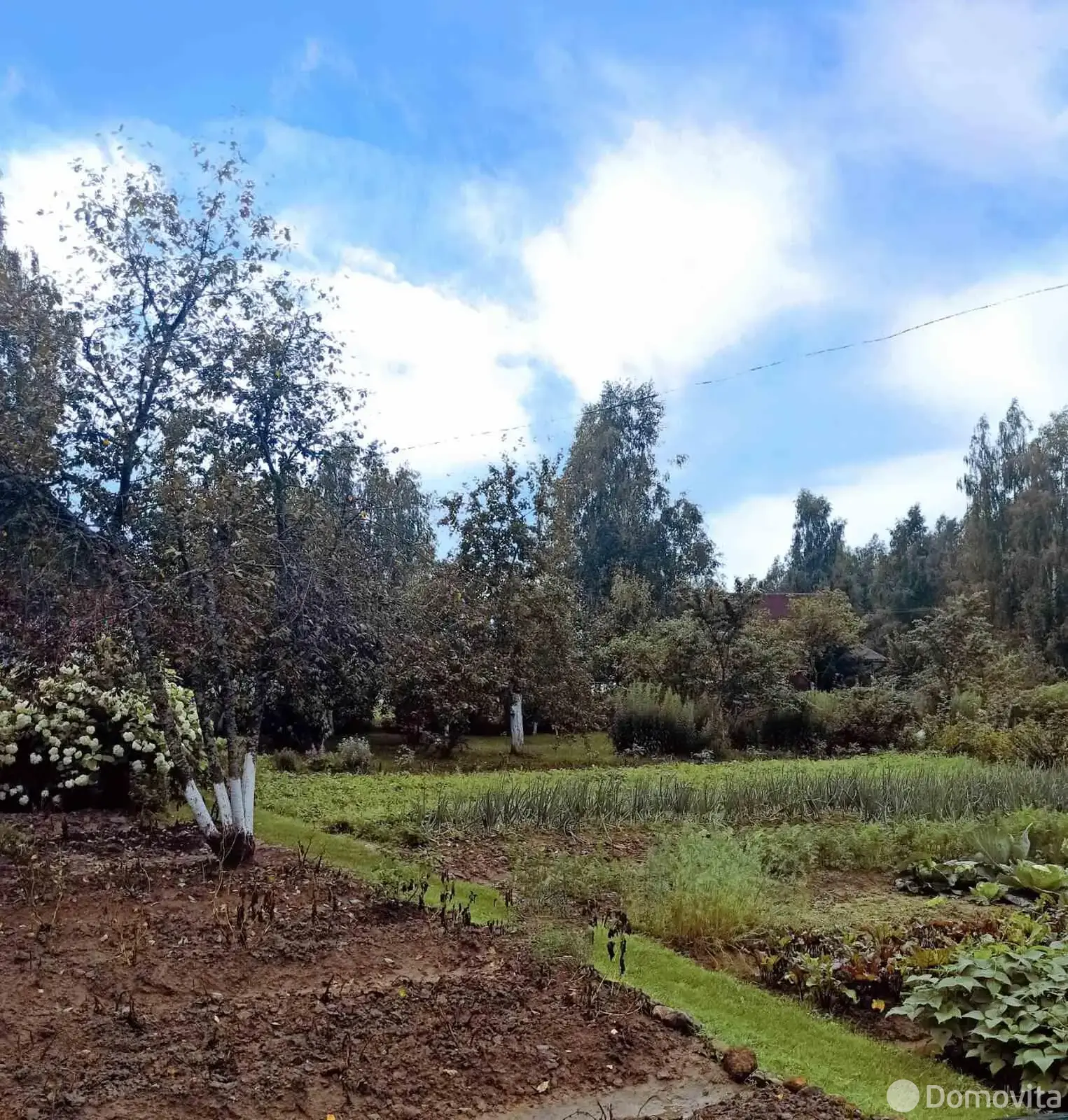 дача, ВЕРАС-91, д. 1 