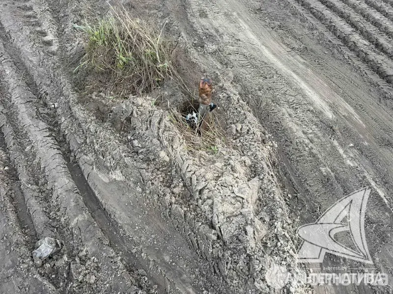 продажа участка, Привольное-Брест, 