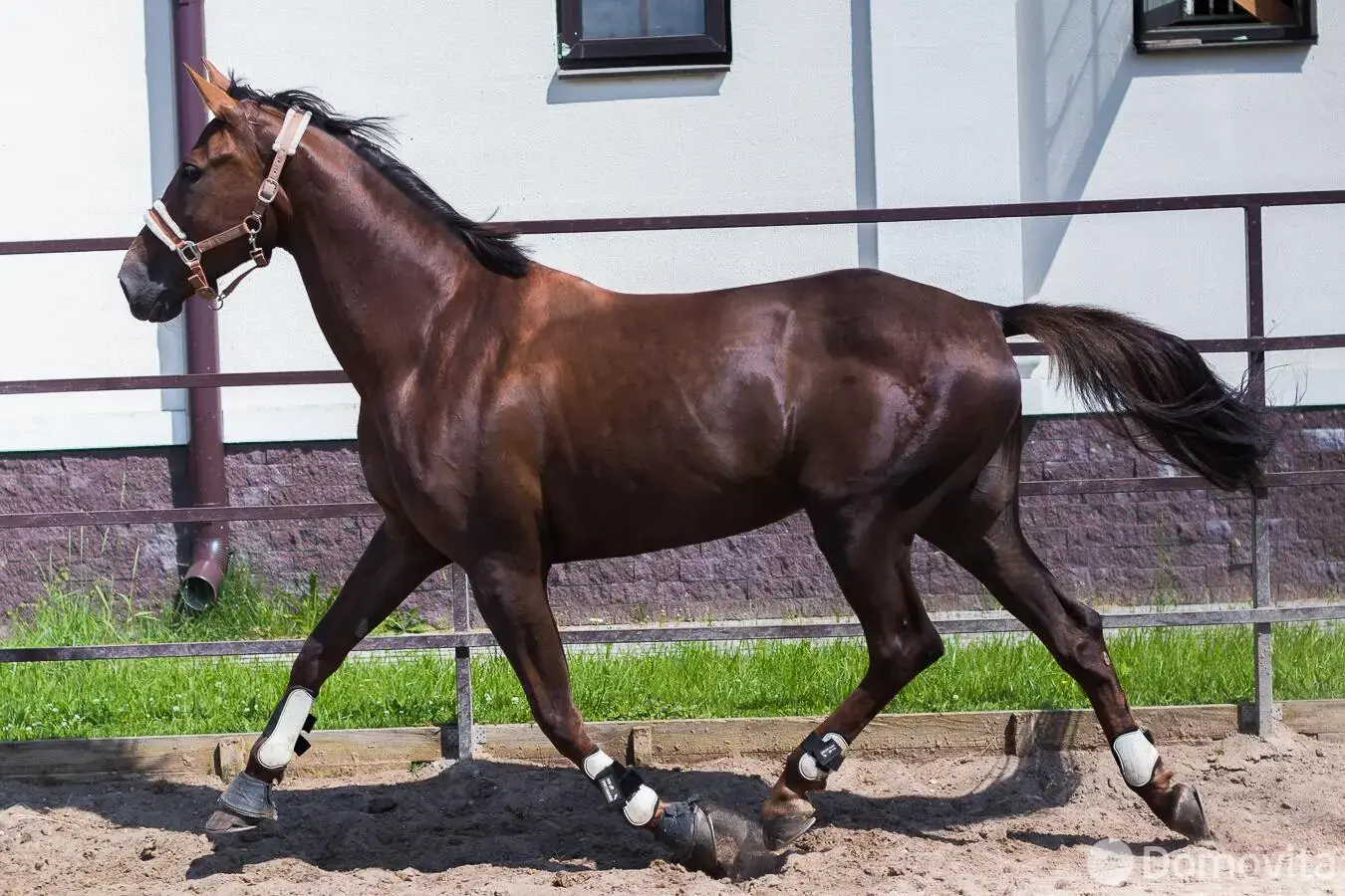 Купить помещение под сферу услуг в Ратомке, ул. Новая, д. 20/а - фото 30