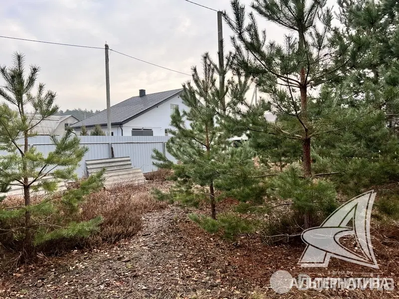 Купить 1-этажную дачу в Алеся-50 Брестская область, 31900USD, код 181350 - фото 26