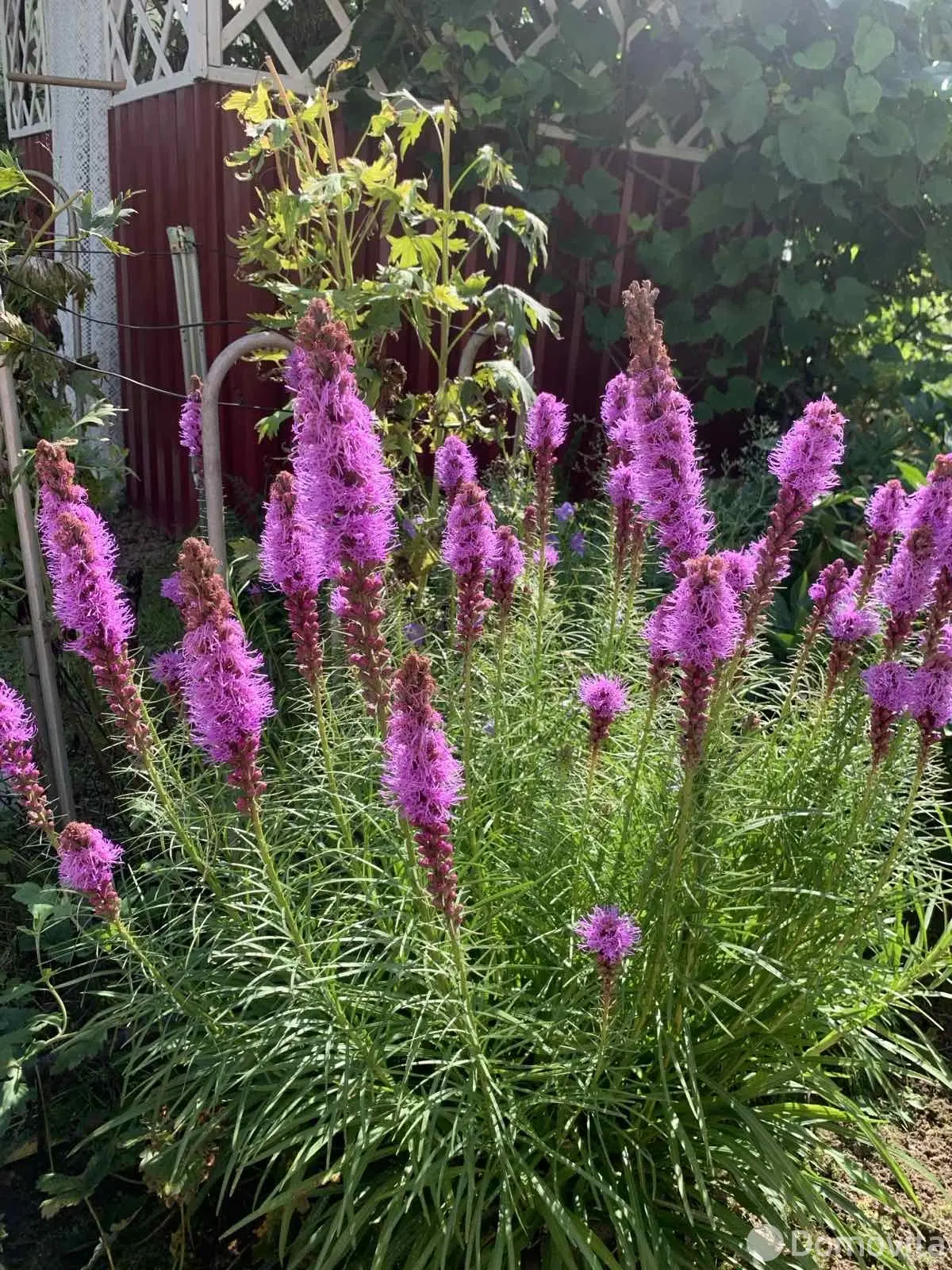 Продажа 3-этажной дачи в МЕДТЕХНИК Минская область, 14900USD, код 182578 - фото 27