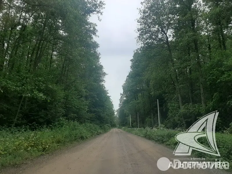 Стоимость продажи участка, Цветотрон, 