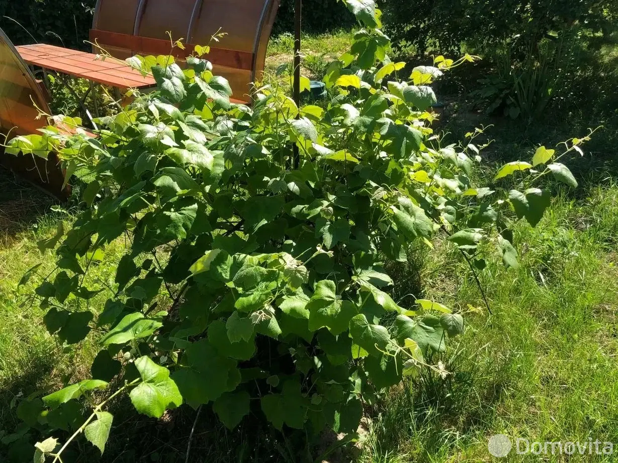 Продажа 3-этажной дачи в Песчаное Минская область, 40000USD, код 185350 - фото 22