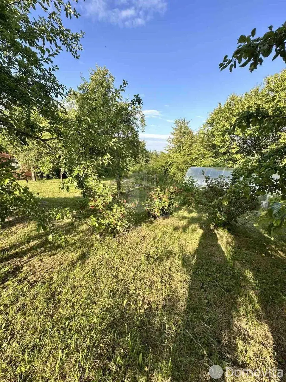 участок, Полевая ромашка, 
