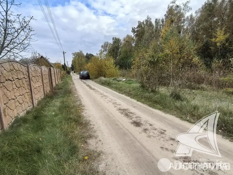 Продажа 1-этажной дачи в Березка-87 Брестская область, 13800USD, код 184383 - фото 18