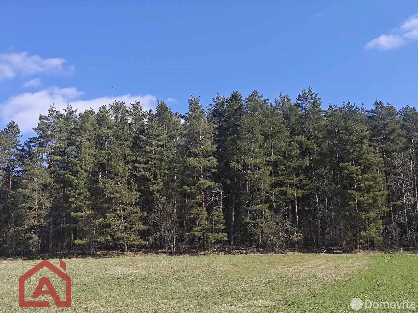 продажа участка, Вяча, ул. Лесная