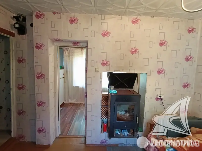 дача, Сигнал-2009, 