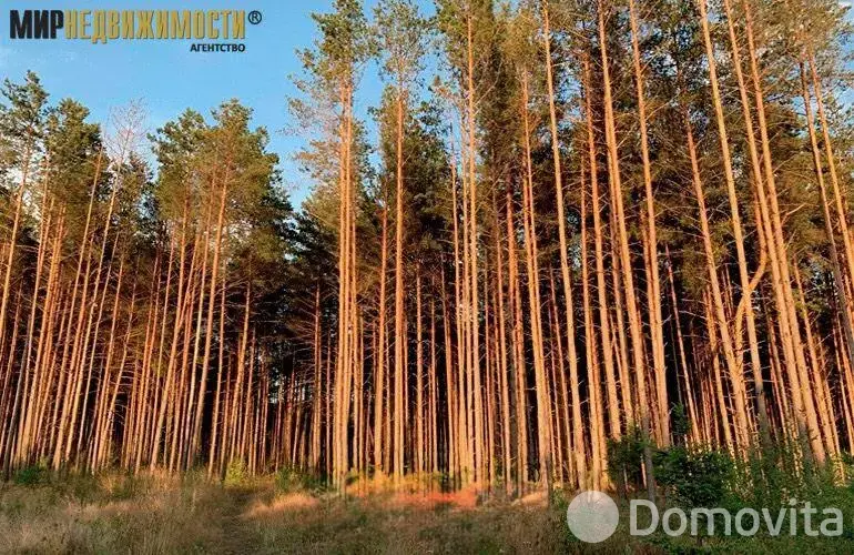 Купить 2-этажную дачу в Пищевик Бобруйского района Могилевская область, 24000USD, код 183844 - фото 20