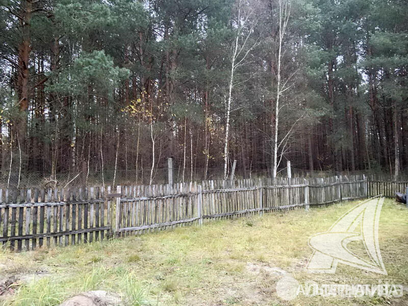 Купить 1-этажную дачу в Журавинка Брестская область, 29900USD, код 180636 - фото 17