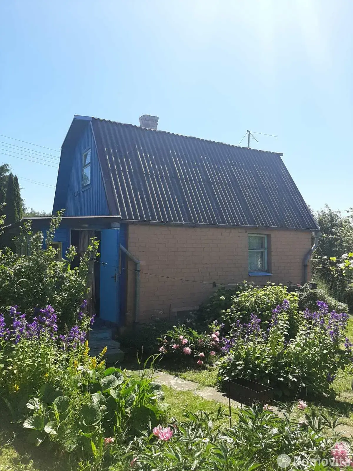 дача, Огородники, 