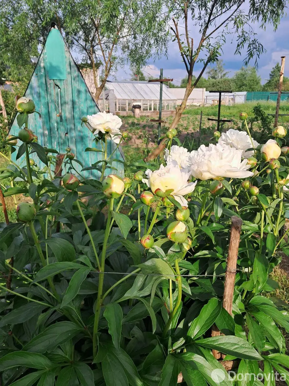 Цена продажи коттеджа, Шапуры, ул. Шистерова