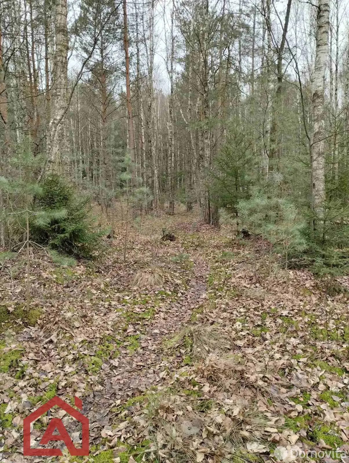 продажа дачи, Труд МЗАЛ, 