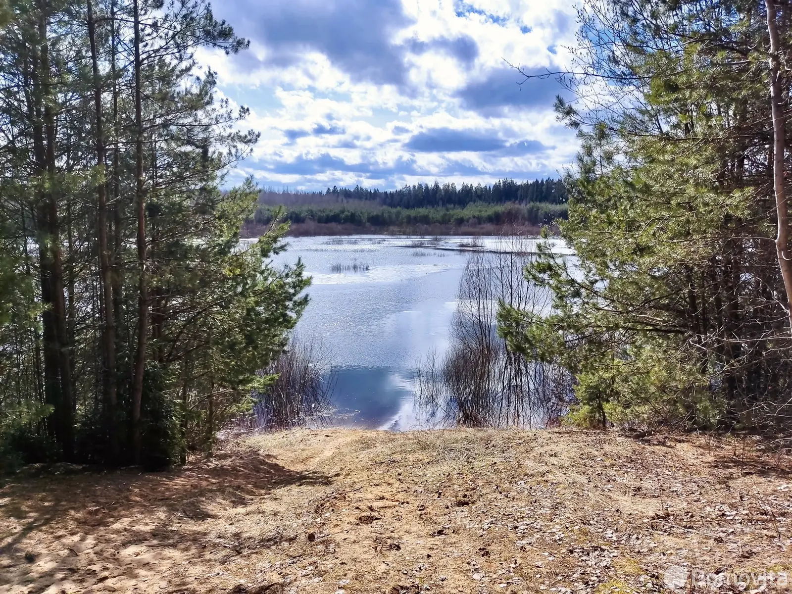 Купить 2-этажную дачу в Фруктовый Минская область, 60000USD, код 173136 - фото 37