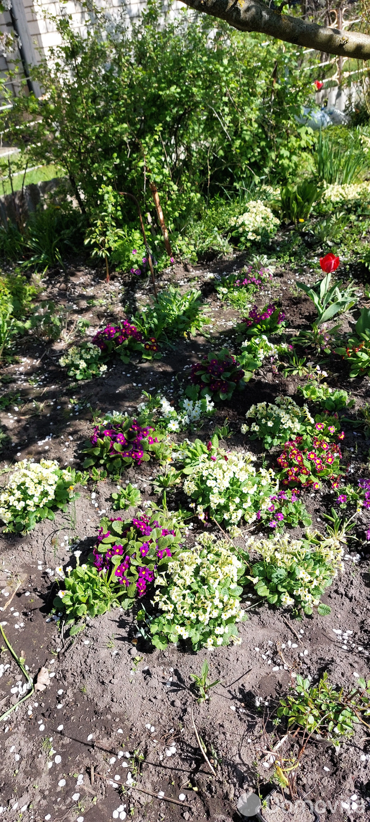 Купить 2-этажную дачу в Солигорске Минская область, 6900USD, код 182565 - фото 15