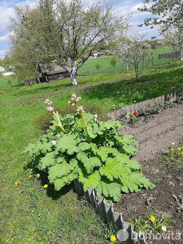 дом, Кнотовщина, ул. Центральная - лучшее предложение