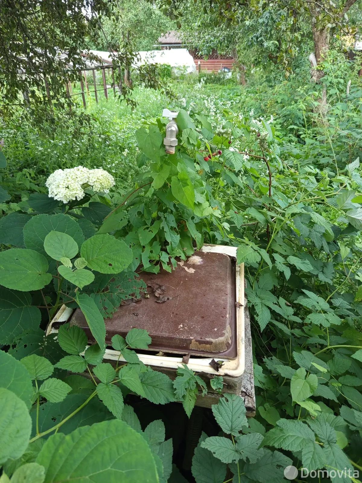 Купить 2-этажную дачу в Кринице Минская область, 9000USD, код 184450 - фото 17