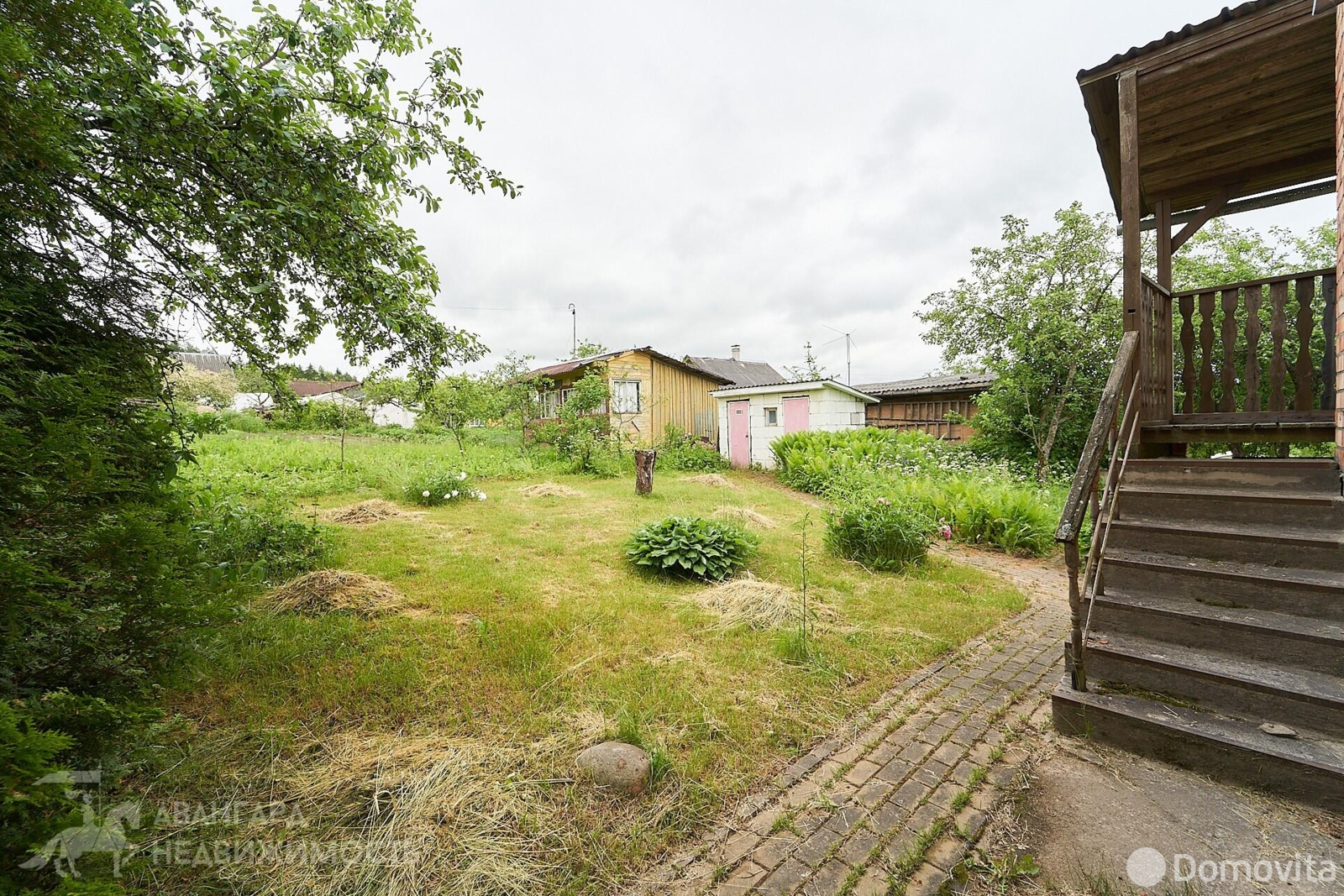 дача, Ромашка Соломореченская,