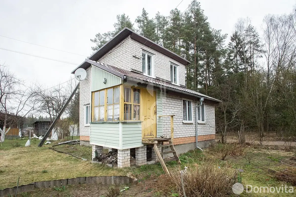 дача, Лесная поляна, 