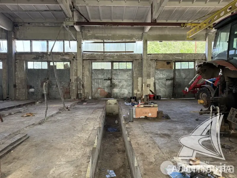 объект сферы услуг, Борисово, 