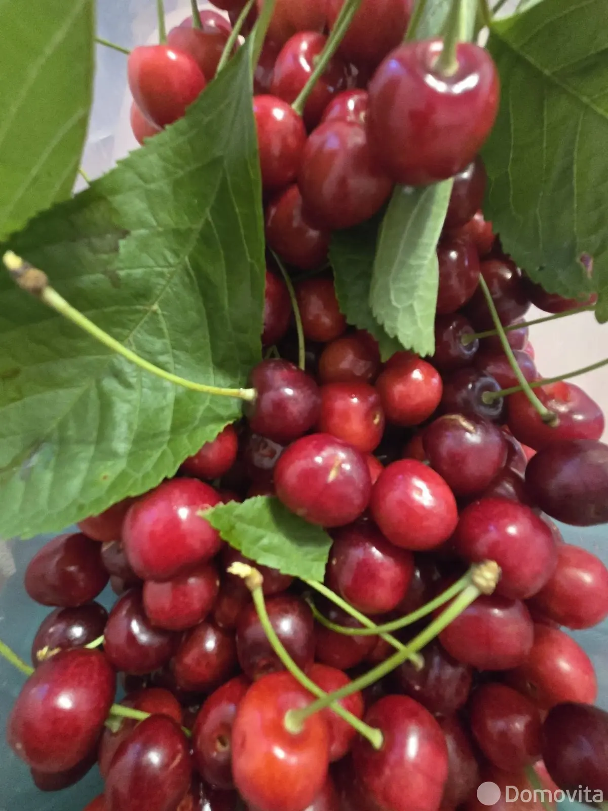 Продажа 3-этажной дачи в Тюльпан Минская область, 15000USD, код 184477 - фото 19