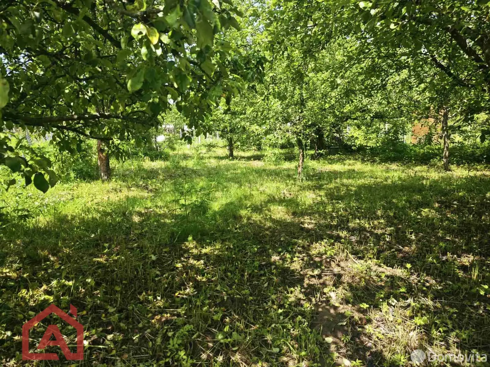 участок, Поляна, 