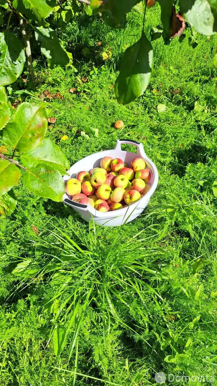 Купить 1-этажную дачу в Верасок-2008 Минская область, 42000USD, код 185658 - фото 33